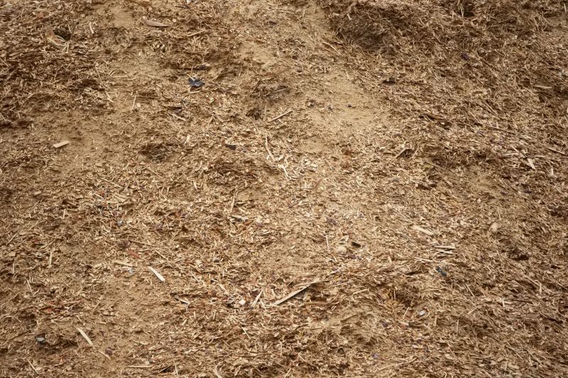 Bark Dust Blowing detail